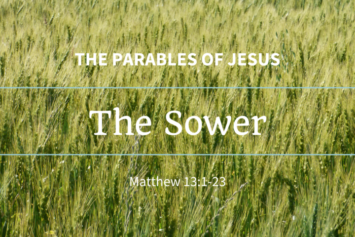 The Sower